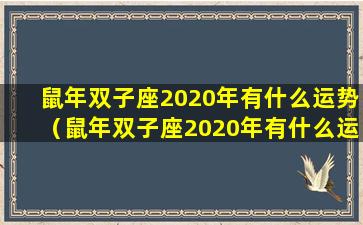 鼠年双子座2020年有什么运势（鼠年双子座2020年有什么运势 🐝 和财运）